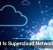 Tech Gives Small Businesses Room To Adapt